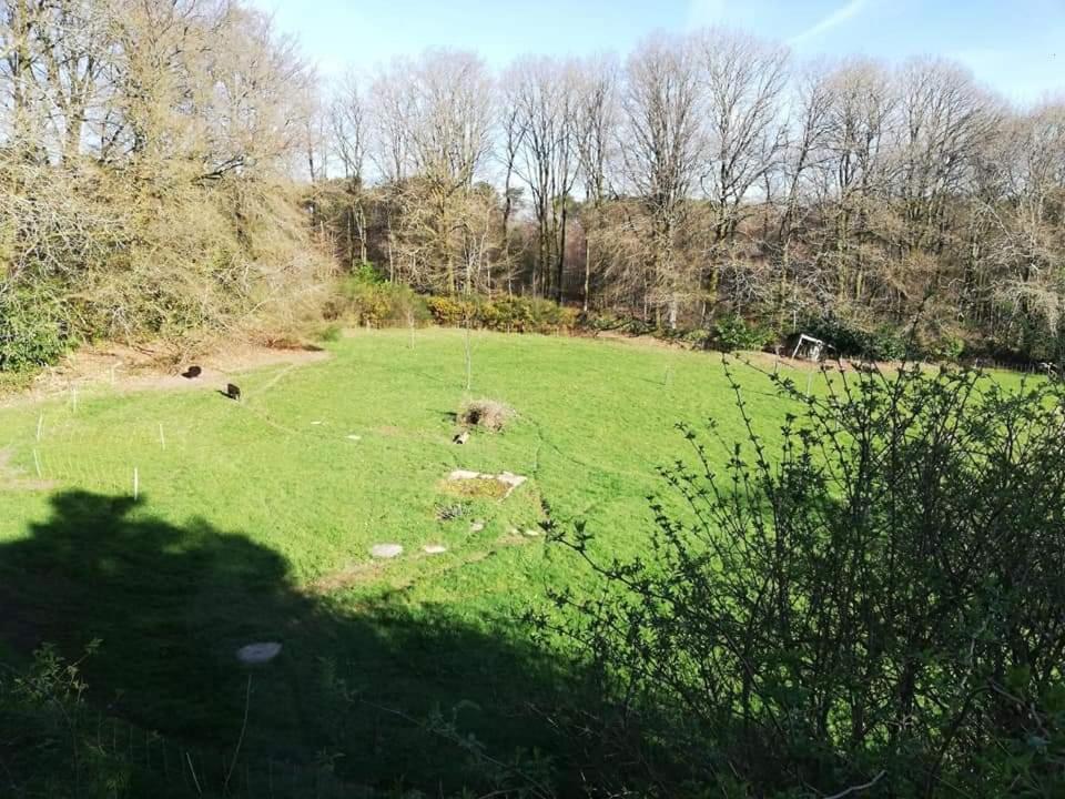 Hotel MANOIR DU TERTRE au coeur de la forêt de Brocéliande Paimpont Exterior foto