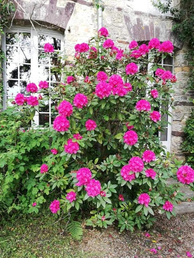 Hotel MANOIR DU TERTRE au coeur de la forêt de Brocéliande Paimpont Exterior foto